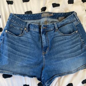 Torrid jean shorts